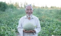 网红州长吃瓜群众,网红州长与吃瓜群众的瓜界风云