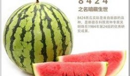 50吃瓜网,网络舆论场的新势力崛起