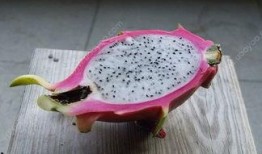 娱乐吃瓜火龙果,揭秘娱乐圈那些不为人知的幕后故事