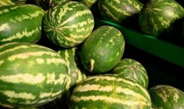 十堰网红吃瓜事件,揭秘网络舆论的风暴与真相