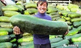 50吃瓜网,网络舆论场的新势力崛起