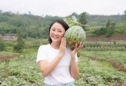 座等吃瓜,揭秘网络热议背后的真相与趣味