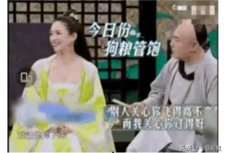 为了吃瓜进了娱乐圈,一段奇妙的跨界之旅