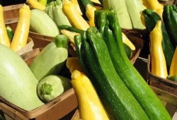 娱乐吃瓜项目推荐,那些你不知道的幕后吃瓜故事