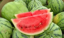 座等吃瓜,揭秘网络热议背后的真相与趣味