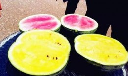 哪里看吃瓜爆料,跟随吃瓜爆料，探寻明星幕后故事