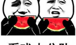 吃瓜表情的意思解释,网络社交中的幽默与讽刺