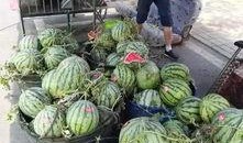 十堰网红吃瓜事件,揭秘网络舆论的风暴与真相