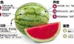 网红吃瓜入口微信,揭秘娱乐圈幕后真相