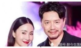 明星娱乐圈吃瓜大合集,明星吃瓜大合集深度解析